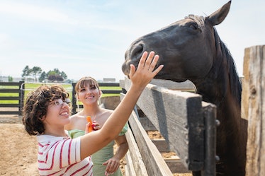 Young female friends petting a horse, the animal for Sagittarius zodiac signs.
