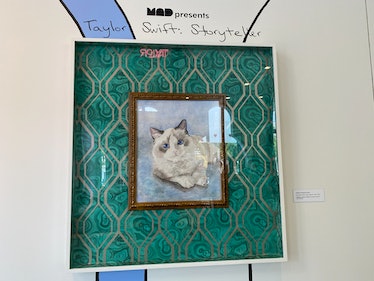 The Taylor Swift exhibit has a picture of Taylor's cat Benjamin Button from the "Lover" music video....